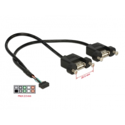 Delock 84832 USB2.0 pin header anya 2mm 10tűs  2x USB2.0 Type-A anya panel modul kábel - 0,25m
